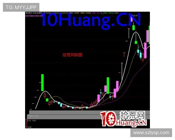 帕夫洛维奇谈教练指示以莱奥前插跑动创造中路空间的进攻思路战法